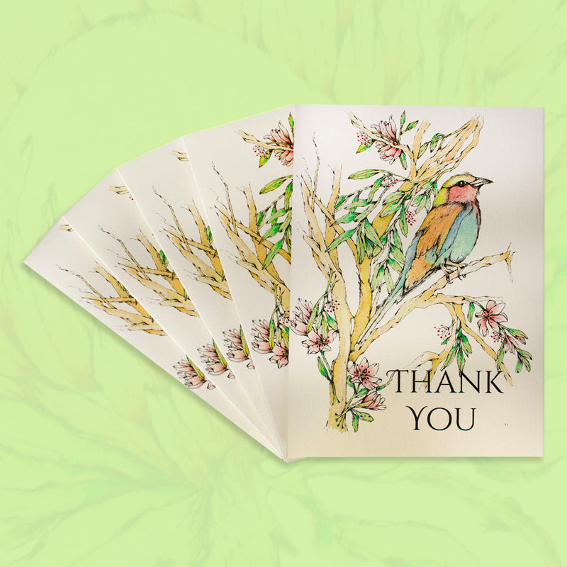 African Roller Greeting Card Pack