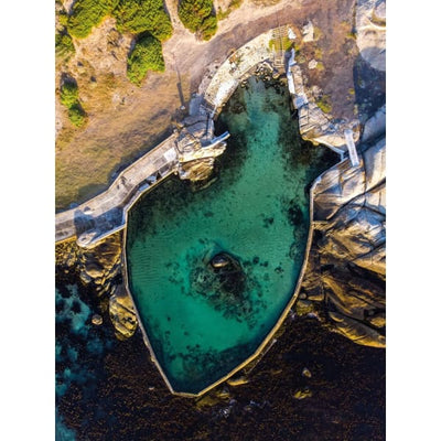 A Guide to Tidal Pools of the Western Cape