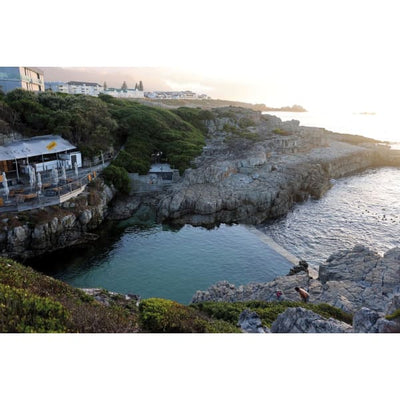 A Guide to Tidal Pools of the Western Cape