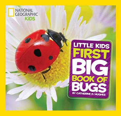 Little Kids First Big Book of Bugs - Readers Warehouse