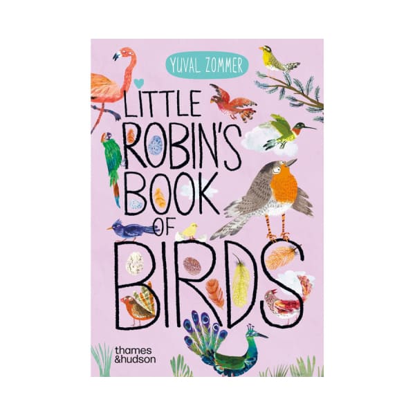 Little Robin’s of Birds