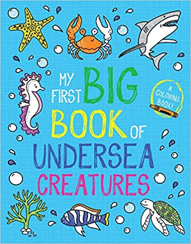 My First Big Book Of Undersea Creatures - Readers Warehouse