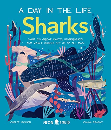 Sharks (A Day In The Life) - Readers Warehouse