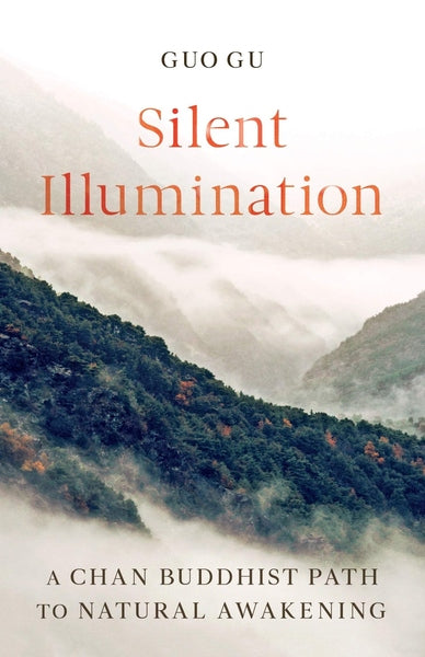 Silent Illumination - Readers Warehouse