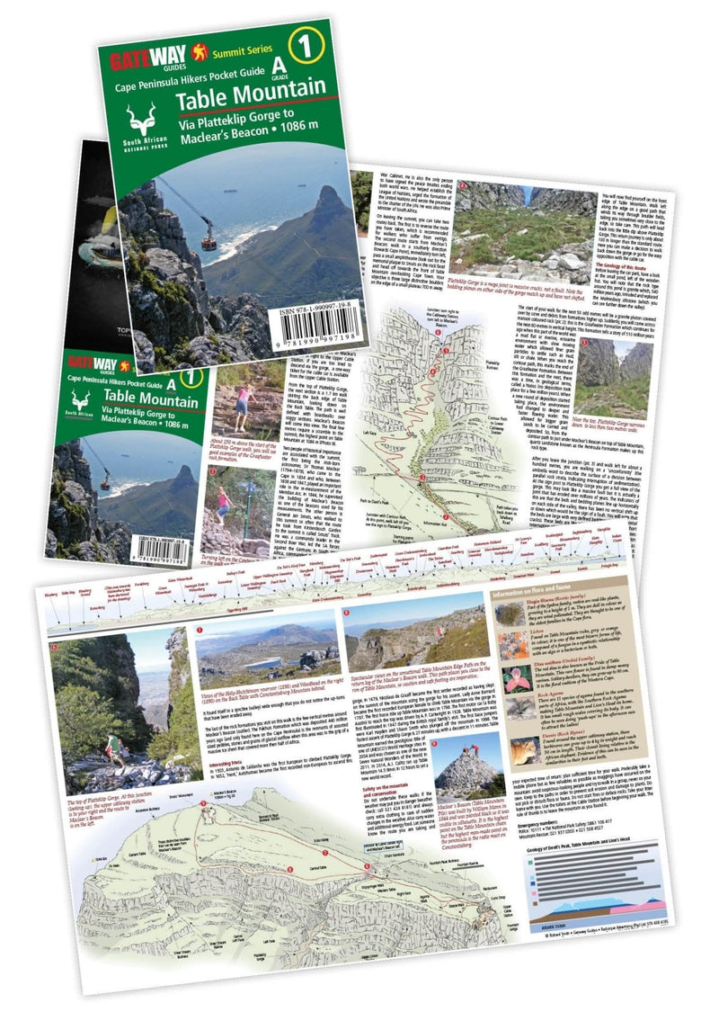 Table Mountain Hiking Guide A Grade Pocket Book - Readers Warehouse