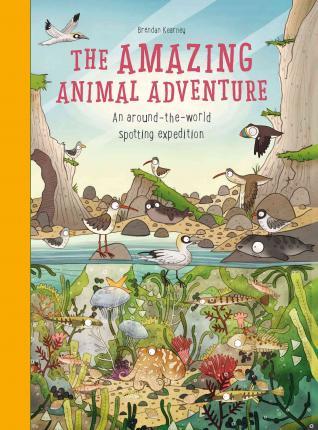 The Amazing Animal Adventure - Readers Warehouse