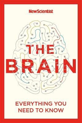 The Brain : Everything You Need to Know - Readers Warehouse