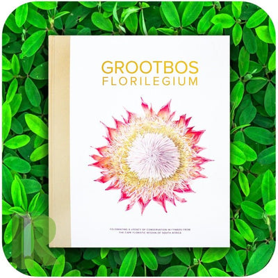 The Grootbos Florilegium - Readers Warehouse