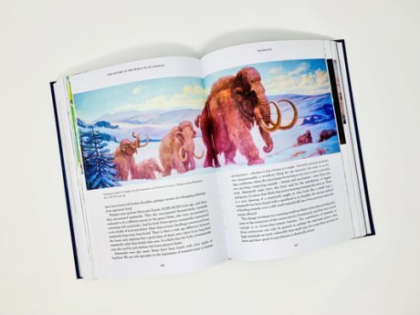 The History of the World in 100 Animals - Readers Warehouse