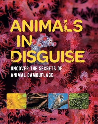 Animals In Disguise - Readers Warehouse