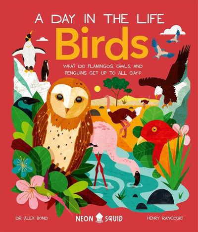 Birds (A Day in the Life) - Readers Warehouse