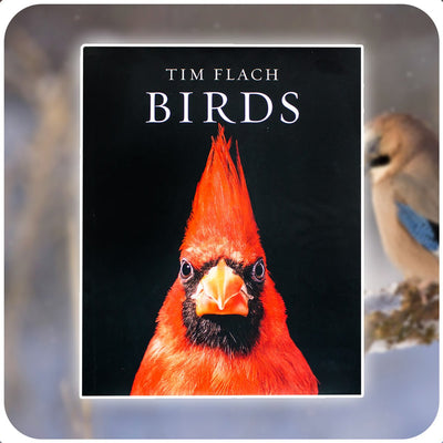 Birds - Readers Warehouse