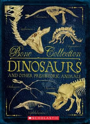 Bone Collection: DINOSAURS - Readers Warehouse