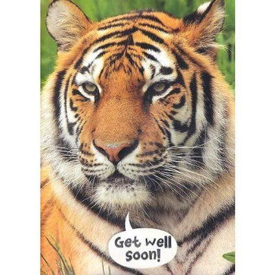 Cards Tiger Get Well Soon - Readers Warehouse