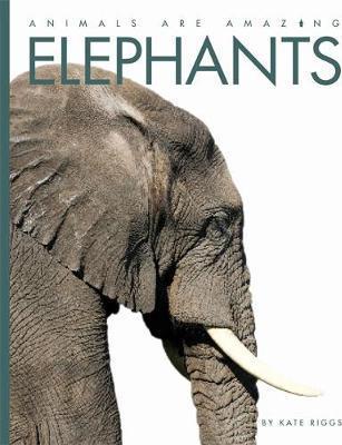 Elephants - Readers Warehouse