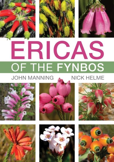 Ericas of the Fynbos - Readers Warehouse