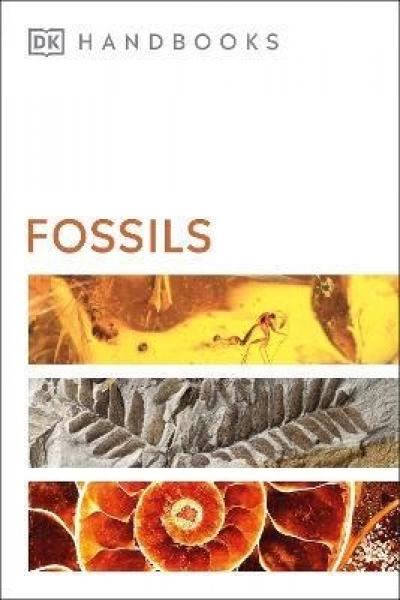 Fossils - Readers Warehouse