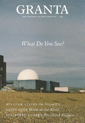 Granta 159: What Do You See? - Readers Warehouse