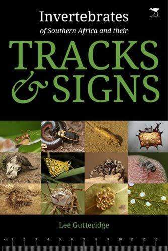 Invertebrates Of Southern Africa And Their Tracks And Signs Lee Gutteridge